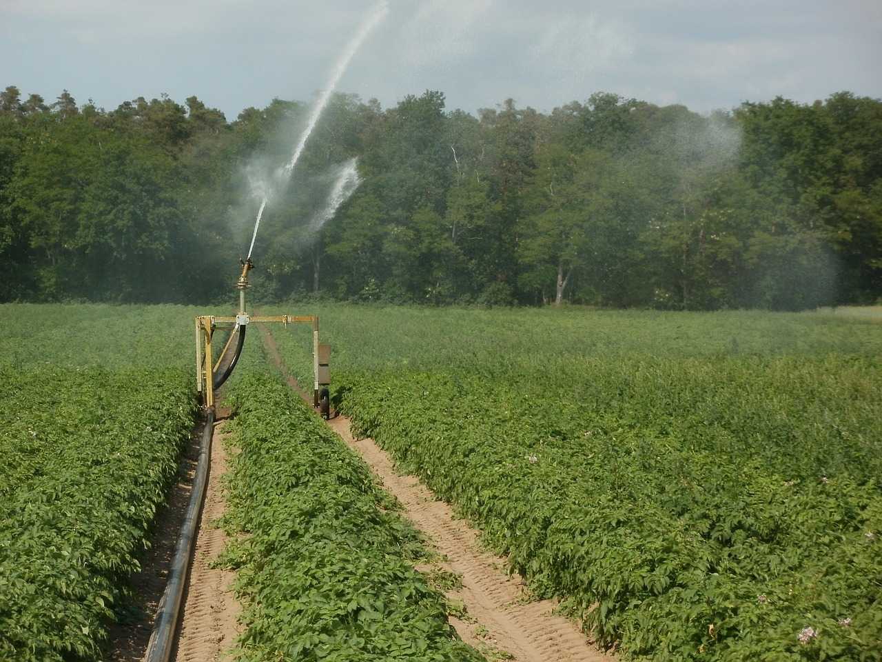 Choosing Right Irrigation System