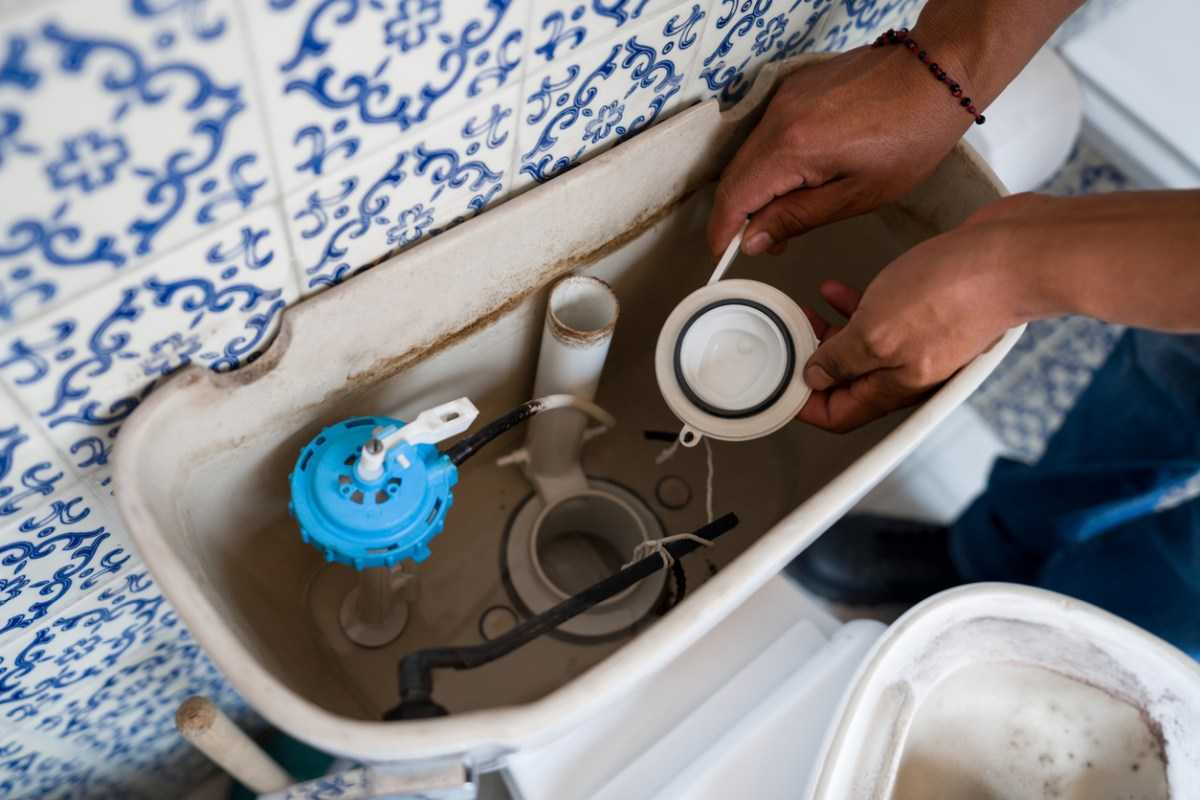 Improve Your DIY Toilet Repair Skills