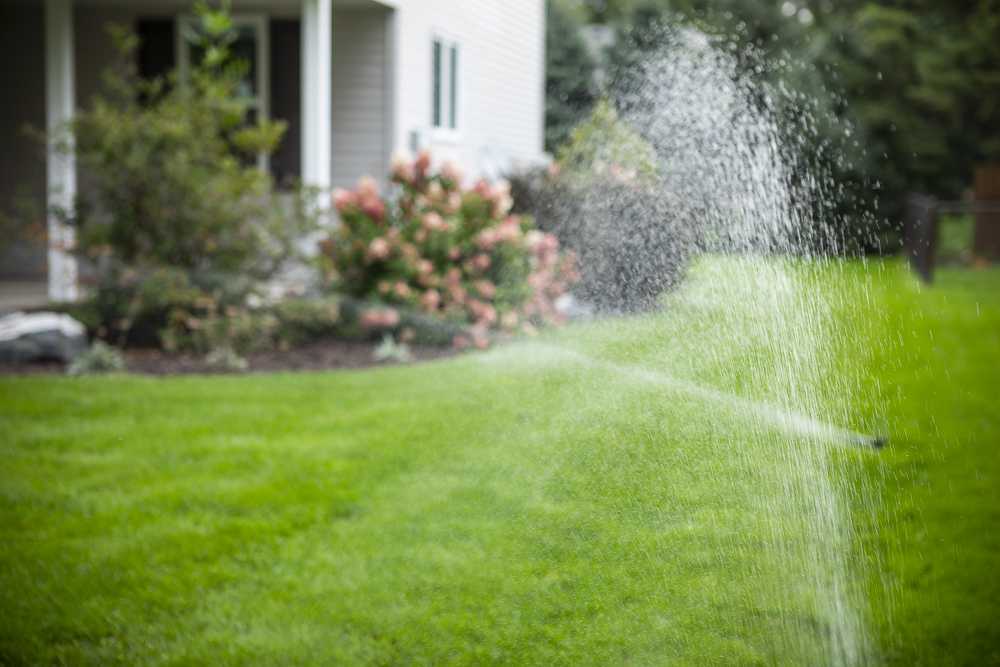 Making Lawn Irrigation More Efficient