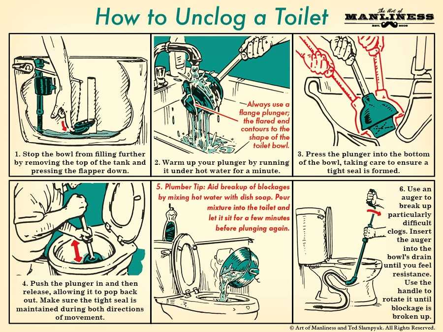 Steps Fix Clogged Toilet