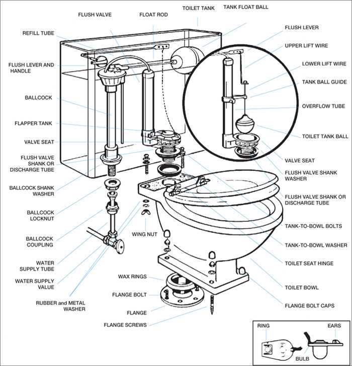 Understanding Parts Toilet Their Repairs