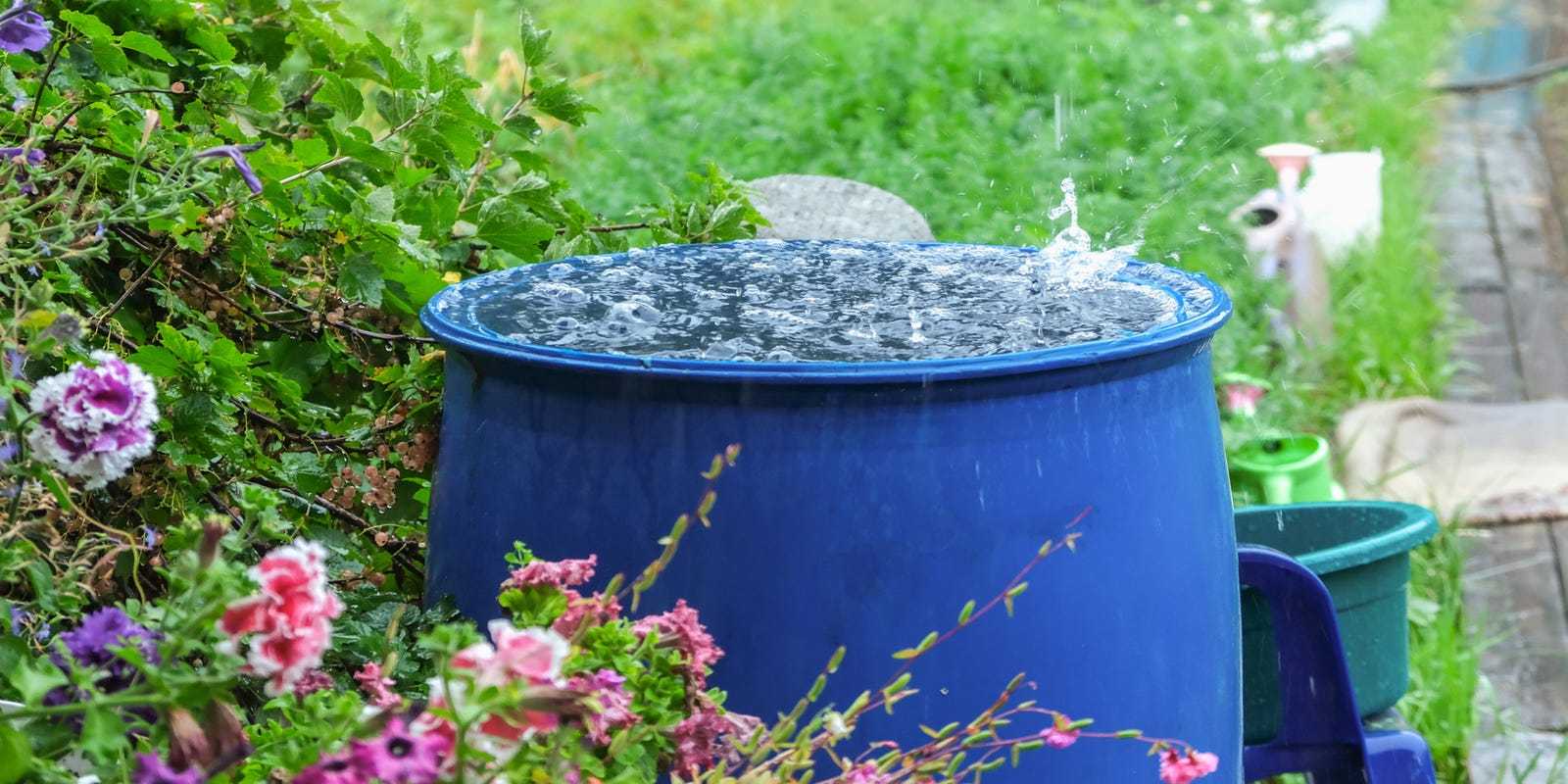 Using Collected Rainwater Responsibly